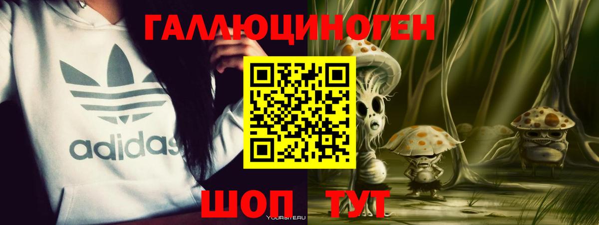 Псилоцибиновые грибы Cubensis  Вход с VPN  Междуреченск 